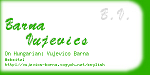 barna vujevics business card